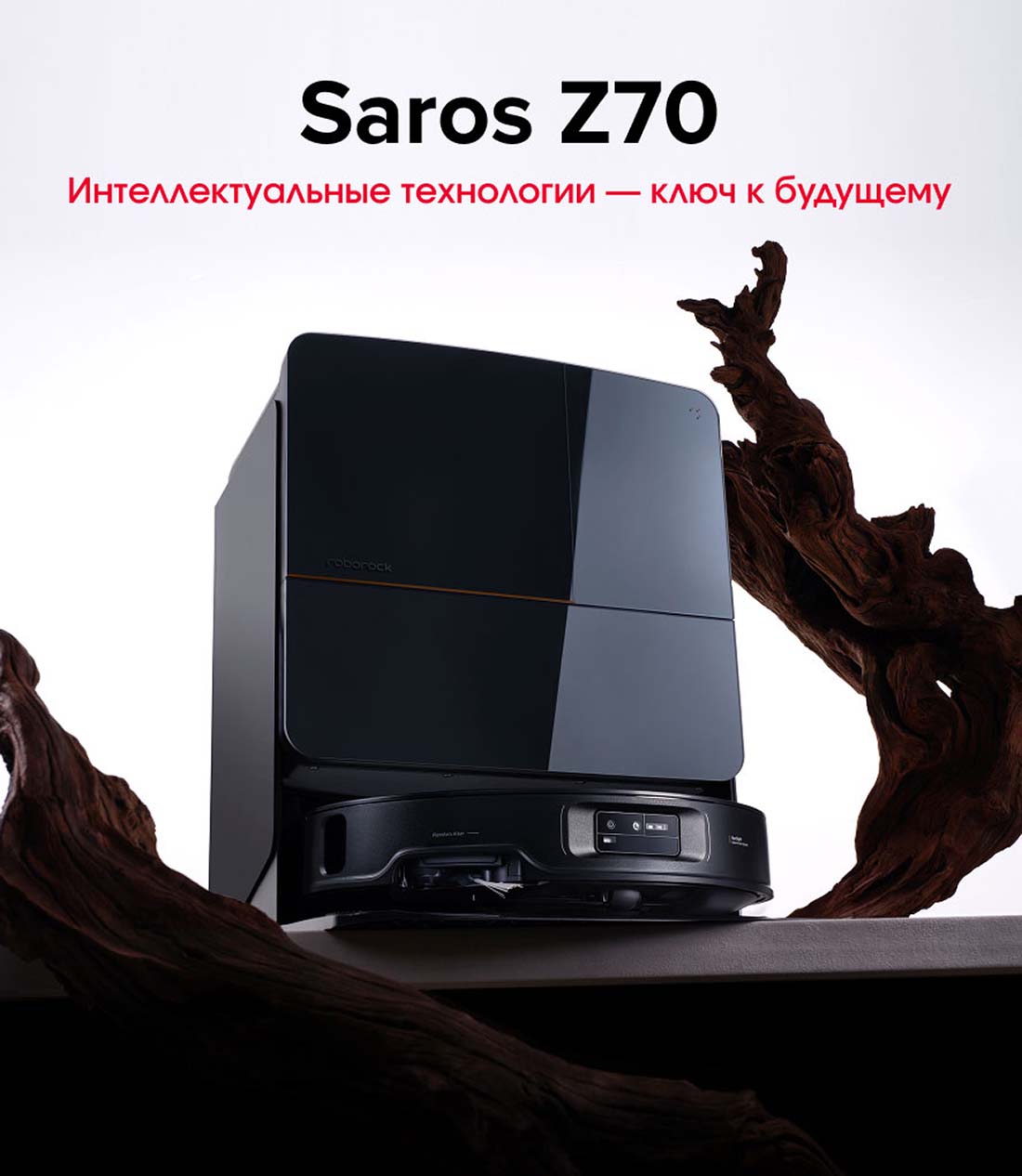 roborock-z70 в Екатеринбурге roborock-z70