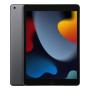 Apple iPad 10,2" (A13, 2021, 9 gen) Wi-Fi 256Gb Space Gray, «серый космос»