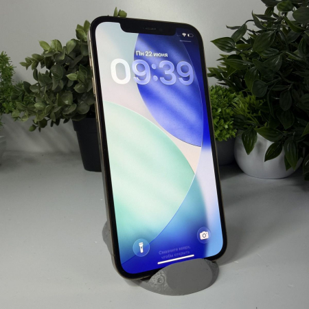 Trade in Apple iPhone 12 Pro 256Gb Gold IMEI: 4499