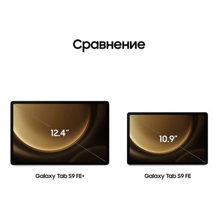 Samsung Galaxy Tab S9 FE+ 12,4" Wi-Fi 12/256Gb Silver, серебристый