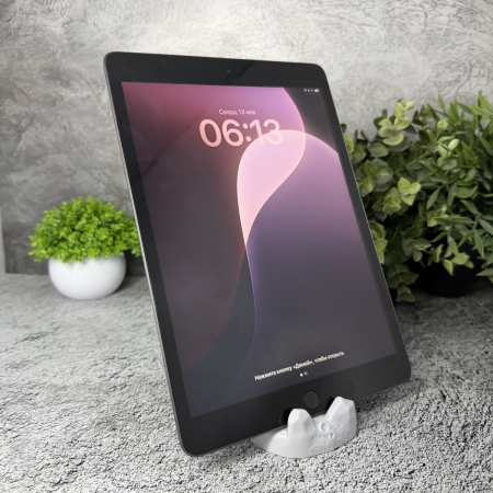 Trade in Apple  iPad  (7-го поколения, 2019) Wi-Fi 32GB Space Gray IMEI: MF3M