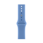 Apple Watch Series 12, 46 мм корпус из алюминия цвета «Space Gray», ремешок Sport Band размера S/M цвета «Wildflower Blue»