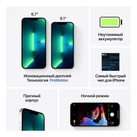 Apple iPhone 13 Pro 1Tb Silver, серебристый