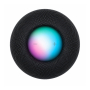 Колонка Apple HomePod mini Space Gray, «серый космос»