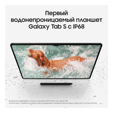 Samsung Galaxy Tab S9 11" Wi-Fi+5G 8/128Gb Graphite, графит